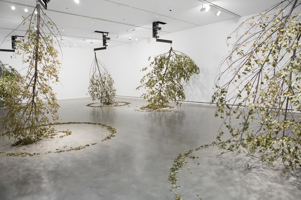 Michael Sailsorfer | " Forst”, 2014; Trees, engines, steel construction 
