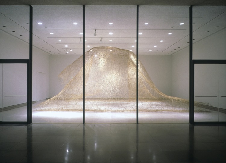 Ikasu | 2001, Rice University Art Gallery