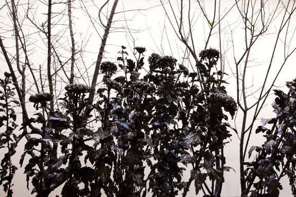 Inked Chrysanthemum | 2011, Eslite Gallery, Taipei 