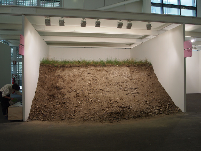 60 tonnellate di terra e erba | 2011, Chert Gallery, Berlino
