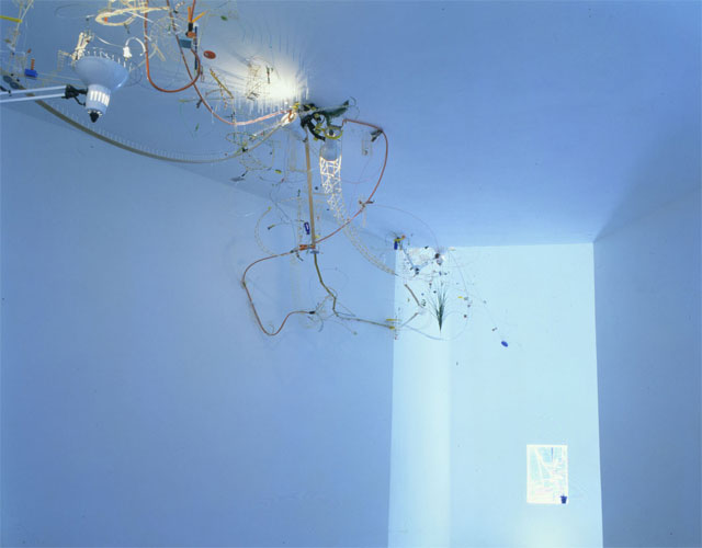 Capricius Invention of Prisions | 1999, 41° Biennale di Venezia
