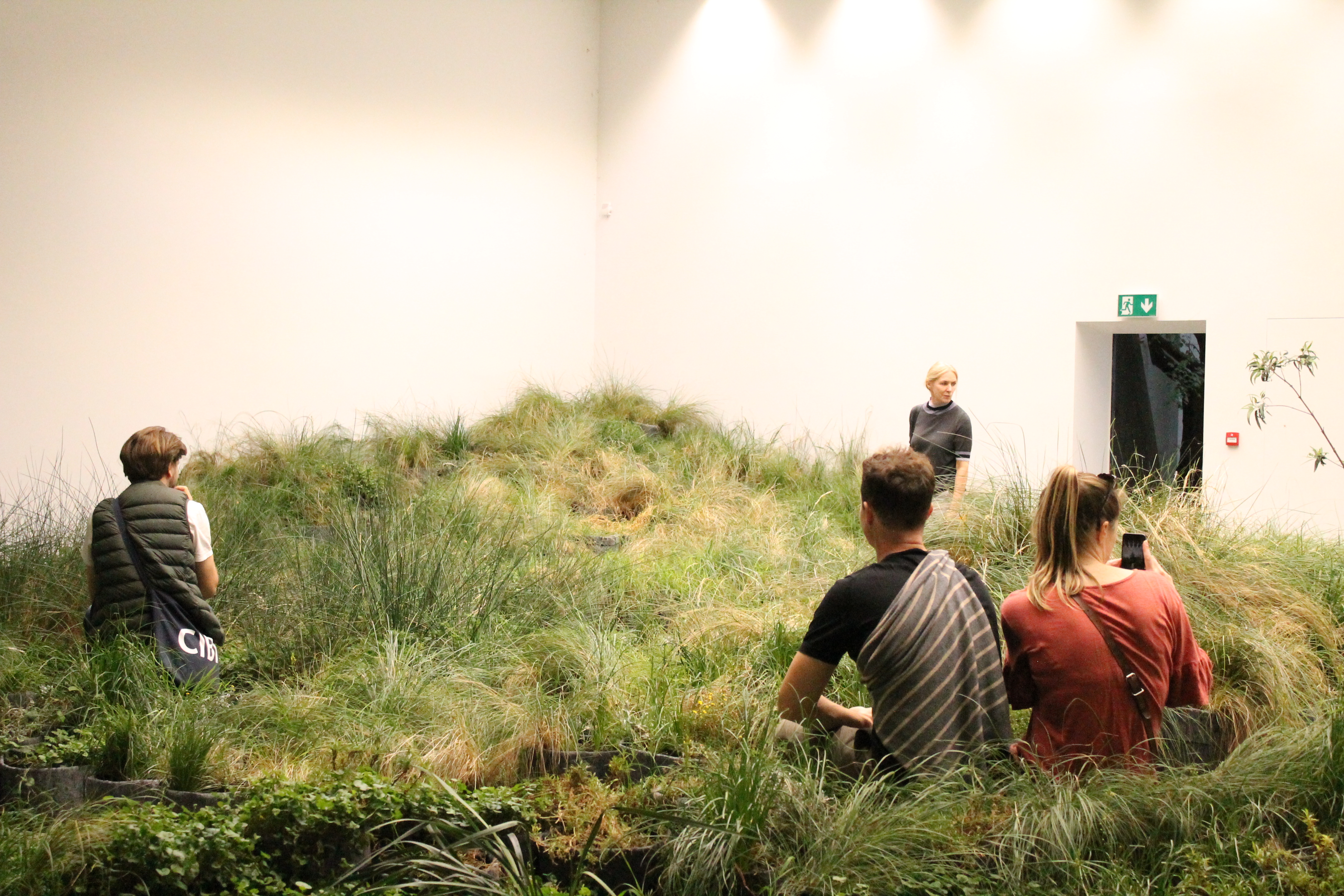 Linda Tegg, Grasslands repair, 2018, Biennale di Venezia, Padiglione Australia, Giardini