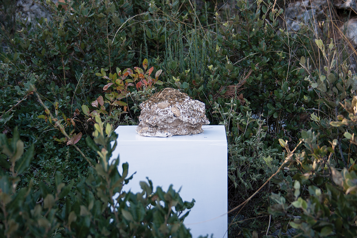 Isatis | 2018; cemento, foglie di Isatis Tinctoria, pietre, tracce vegetali; 25 x 25 x 60 cm. Uliveti contemporanei, Raiano (AQ)